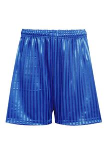 Спортивные шорты David Luke, синий
