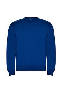 Однотонный яркий хлопковый свитшот-джемпер-свитер ROLY, синий