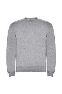Однотонный яркий хлопковый свитшот-джемпер-свитер ROLY, серый