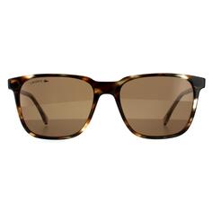 Квадратные коричневые солнцезащитные очки Havana Lacoste, коричневый