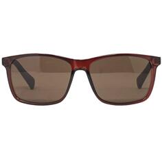 CK19568S 601 Коричневые солнцезащитные очки CALVIN KLEIN, коричневый