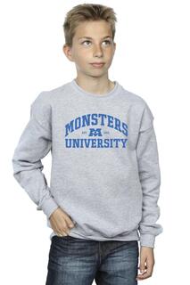 Толстовка с логотипом Университета монстров Disney, серый