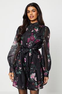 Мини-платье-рубашка из органзы Petite с поясом и цветочным принтом Oasis, черный