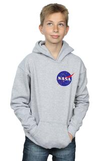 Классическое худи с логотипом Insignia на груди NASA, серый
