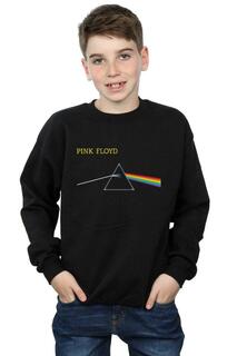 Толстовка с призмой на груди Pink Floyd, черный