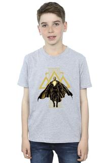 Черная футболка с золотыми символами Adam Rising DC Comics, серый