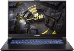 Ноутбук Hasee G8R9 i9-13900H/16GB/1TB SSD/RTX 4060 8GB/17.3" 2.5K IPS/WiFi/BT/cam/noOS/black