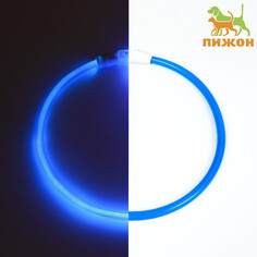 Ошейник - кольцо с подсветкой, зарядка от usb, до 70 см, 3 режима свечения, голубой Пижон