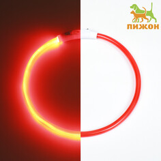 Ошейник - кольцо с подсветкой, зарядка от usb, до 70 см, 3 режима свечения, красный Пижон
