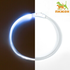 Ошейник - кольцо с подсветкой, зарядка от usb, до 70 см, 3 режима свечения, мультицвет Пижон