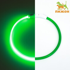 Ошейник - кольцо с подсветкой, зарядка от usb, до 70 см, 3 режима свечения, зеленый Пижон