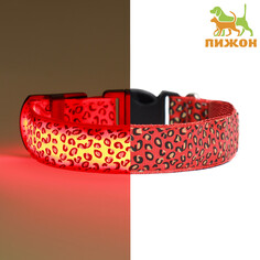 Ошейник с подсветкой леопард 3 режима свечения размер s, ош 22-40 х 2,5 см красный Пижон