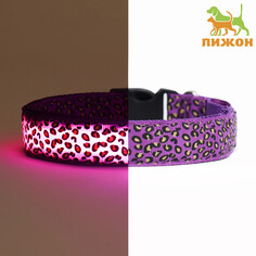 Ошейник с подсветкой леопард 3 режима свечения, размер l, ош 48-60 х 2,5 см фиолетовый Пижон