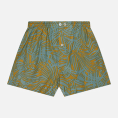 Мужские трусы Anonymous Ism Rayon Cotton Plamtree Pattern, цвет зелёный
