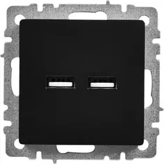 Розетка USB встраиваемая IEK Brite РЮ10-1-БрЧ цвет черный