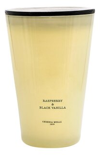 Свеча Raspberry & Black Vanilla (7000g) Cereria Molla 1899