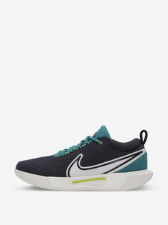 Кроссовки мужские Nike Zoom Court Pro Hc, Серый