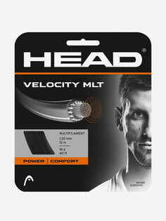 Струна для большого тенниса Head Velocity Mlt, Черный