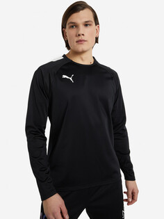 Толстовка футбольный мужской PUMA Teamliga Training, Черный