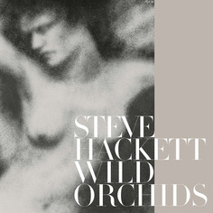 Рок Sony Music Steve Hackett - Wild Orchids (Black Vinyl 2LP)
