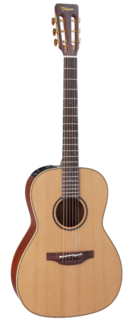 PRO SERIES 3 P3NY Takamine