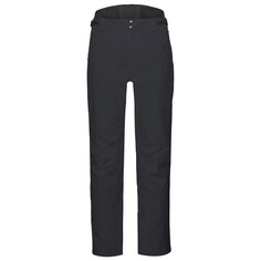 Штаны горнолыжные Head 18-19 Summit Pants M Bk