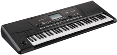 Синтезаторы KORG Pa300