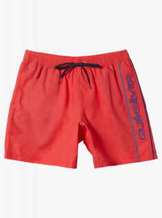 Мужские Пляжные шорты Everyday Vert Volley 16" Quiksilver