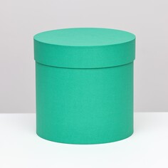 Шляпная коробка зеленая, 18 х 18 см NO Brand
