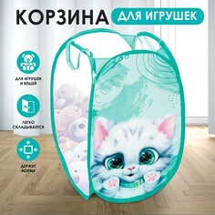 Корзина для хранения игрушек Школа талантов