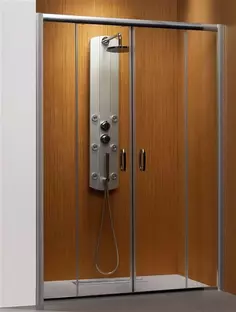 Душевая дверь Radaway Premium Plus DWD 160 прозрачное