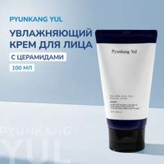 PYUNKANG YUL Крем для лица увлажняющий Dear Mom Total Care Moisture Cream 100.0