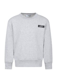 Толстовка Con Logo MSGM, цвет grey