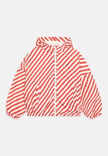Куртка межсезонная Monotype Tape Windbreaker Tommy Hilfiger, цвет calico/fierce red