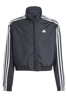 Спортивная куртка Train Essentials Full-Zip adidas Sportswear, цвет black white