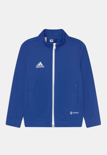 Спортивная куртка Entrada 22 Track Adidas, цвет team royal blue
