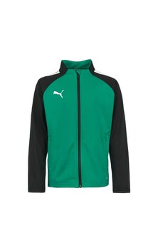 Спортивная куртка Teamliga Puma, цвет pepper green / puma black