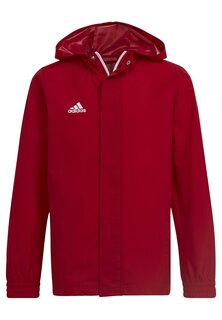 Куртка спортивная Entrada Unisex Adidas, цвет rot
