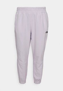 Спортивные брюки Glacier Pant The North Face, цвет lavender fog