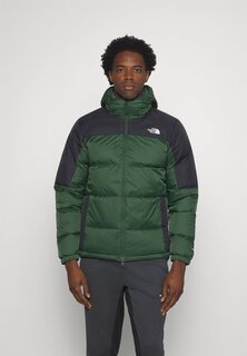 Пуховик Diablo Hoodie The North Face, цвет pine needle/black