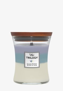 Ароматическая свеча Medium Jar Trilogy Calming Retreat Woodwick, цвет mixed