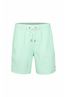 Шорты для плавания Vert Swim 16&quot; Шорты O&apos;Neill, цвет beach glass Oneill