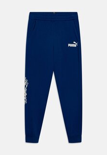 Спортивные брюки Pants Unisex Puma, синий
