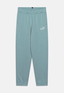 Спортивные брюки Embroidery Unisex Puma, цвет turquoise surf