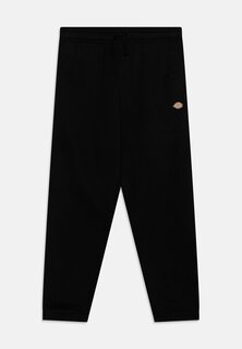 Спортивные брюки Youth Mapleton Unisex Dickies, черный