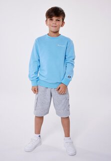 Брюки карго Icons Unisex Bermuda Champion, цвет grey