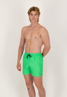Шорты для плавания Volley Nike, цвет electric algae
