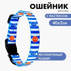 Ошейник Пушистое счастье