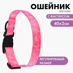 Ошейник my littlle princess, застежка - фастекс, 2 см 25-40 см Пушистое счастье