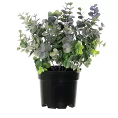 Искусственное растение в горшке эвкалипт h30 см цвет фиолетовый Без бренда